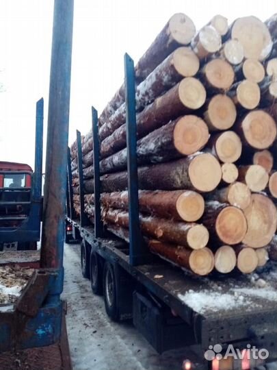 Лес кругляк строевой