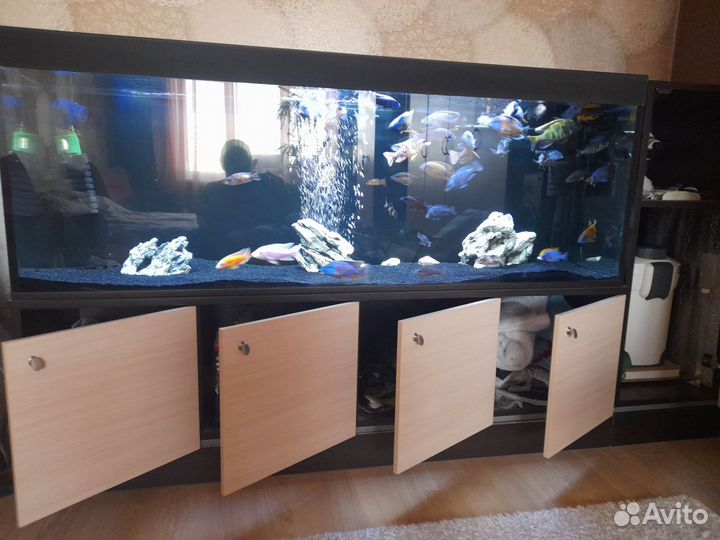 Аквариум