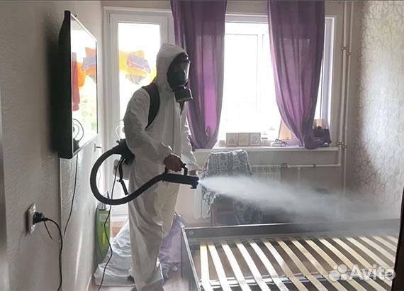 Уничтожение таракана клопа Дезинсекция Дезинфекция