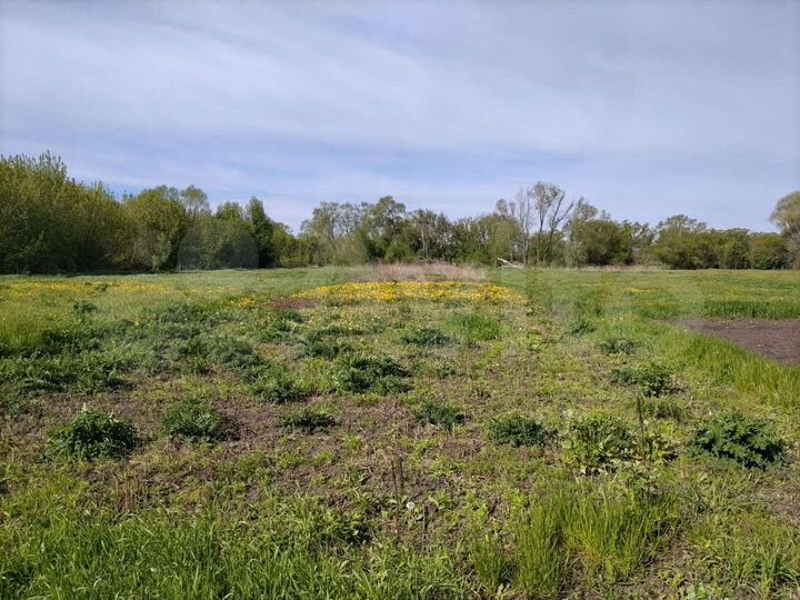 Участок 22 сот. (ИЖС)