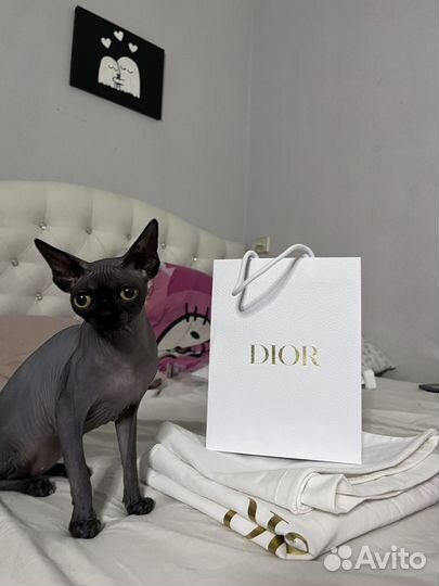 Оригинальный пакет dior