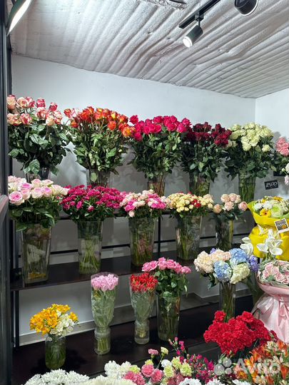Цветы розы букеты с доставкой.кустовая роза.букет