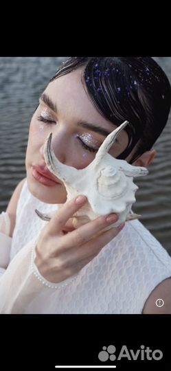 Ракушка морская большая