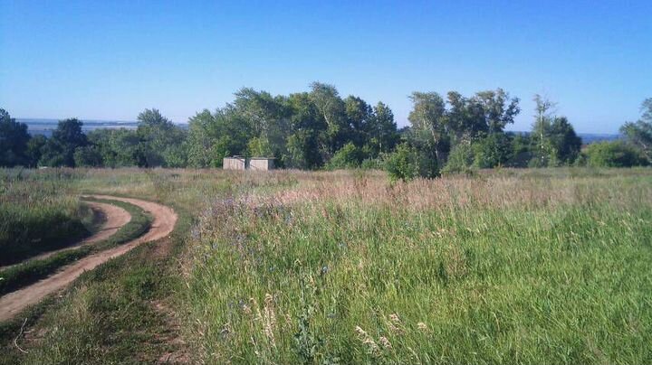 Участок 12 сот. (ИЖС)