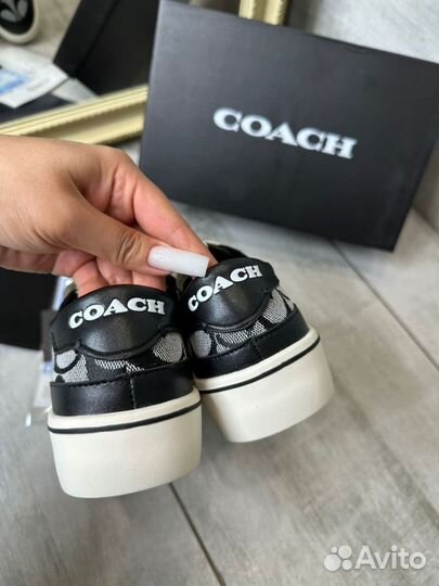 Кеды Coach арт лх48