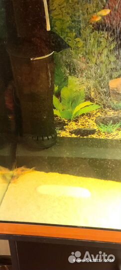 Аквариум