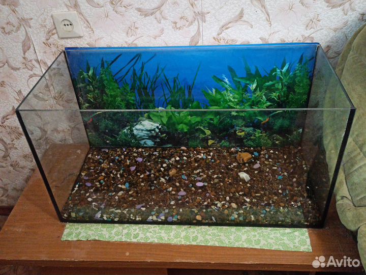 Аквариум