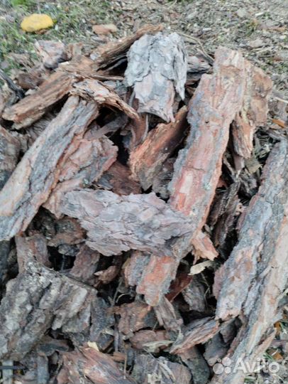 Мульча из сосновой коры