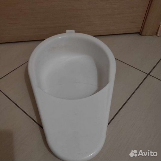 Утка медицинская