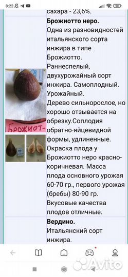 Экзотические комнатные растения