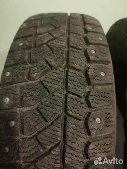 Gislaved Frost 175/65 R14