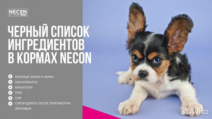 Корм для собак Necon