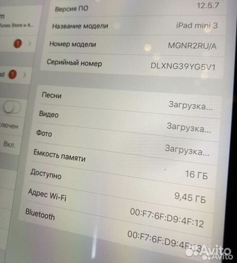 iPad mini 3 16gb