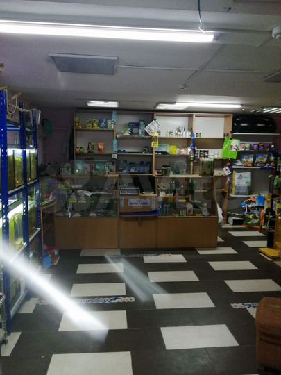 Свободного назначения, 37 м²