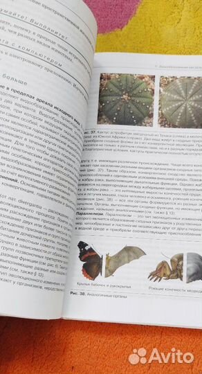 Учебник по биологии 11 класс