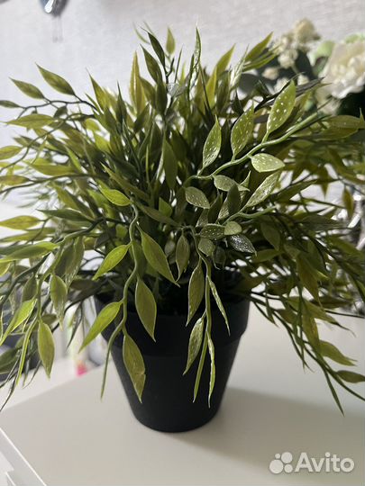 Искусственные цветы IKEA