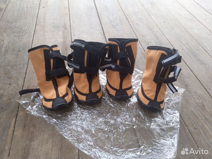 Обувь для средних собак