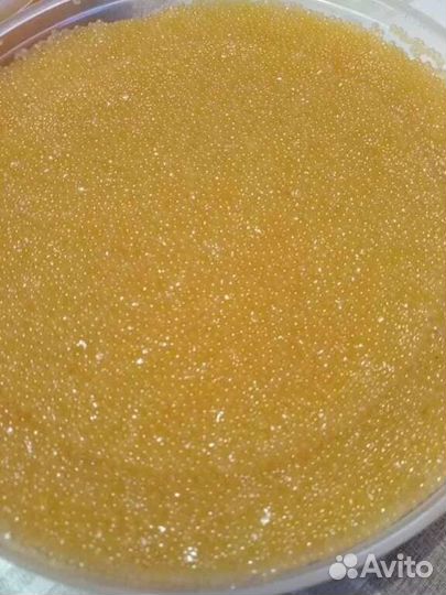 Икра щуки весенняя 2023г