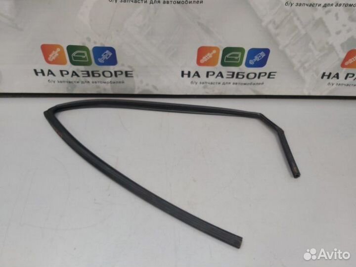 Уплотнительная резинка стекла двери задняя правая
