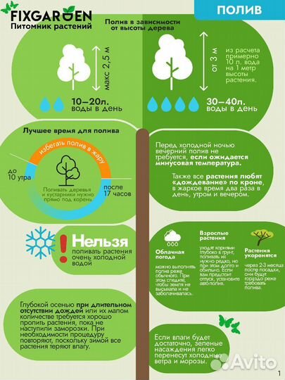 Лапчатка желтая/белая Высота от 50см