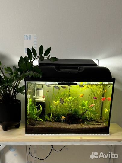 Аквариум на 60 литров с фильтром