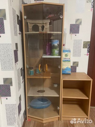 Витрина для шиншилл