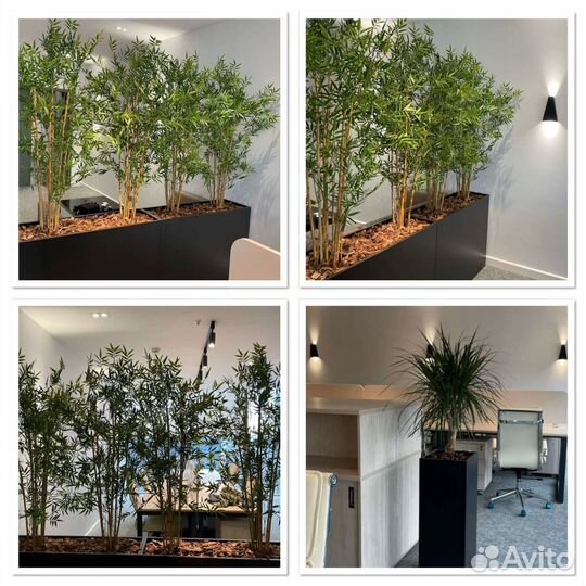 Деревянные ящики кашпо