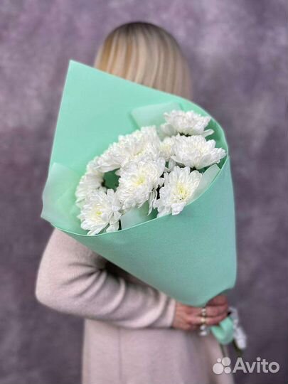 Цветы. Хризантемы с доставкой