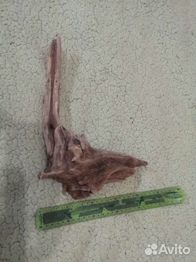 Коряга проваренная 33см