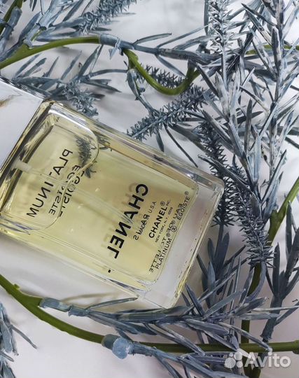 Chanel Egoiste platinum