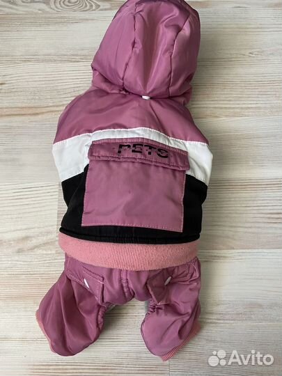 Одежда для собак