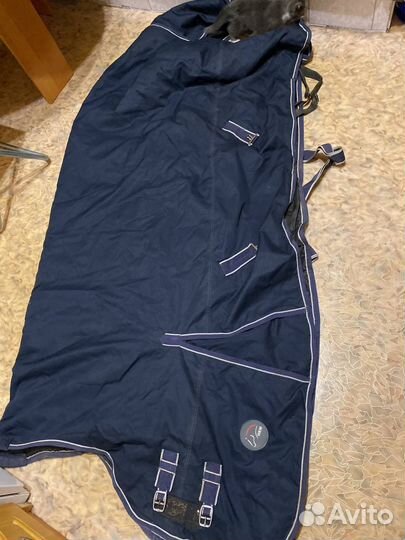 Зимняя попона и трензель