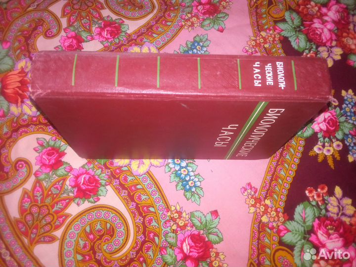Книга. Биологические часы. Сборник. 1964г