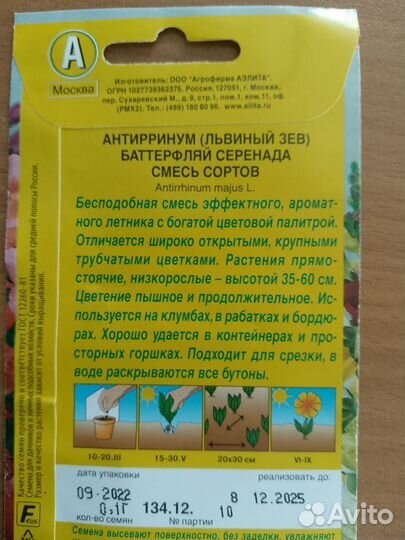 Рассада львиный зев