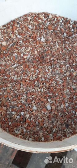 Минеральная подкормка для голубей. Красный железня