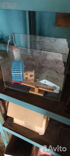 Аквариум для хомяка с аксессуарами