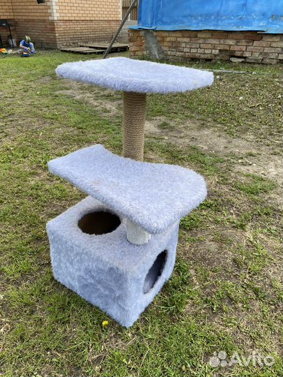 Когтеточка