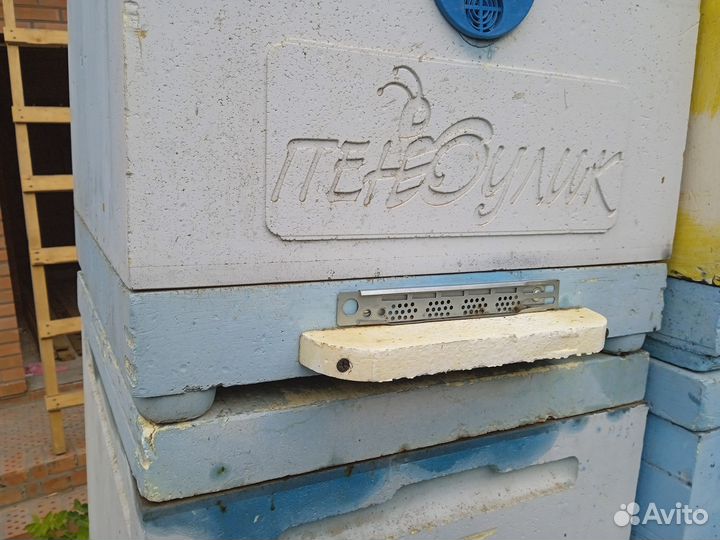 Дно на улей 10 рам - Пеноулик