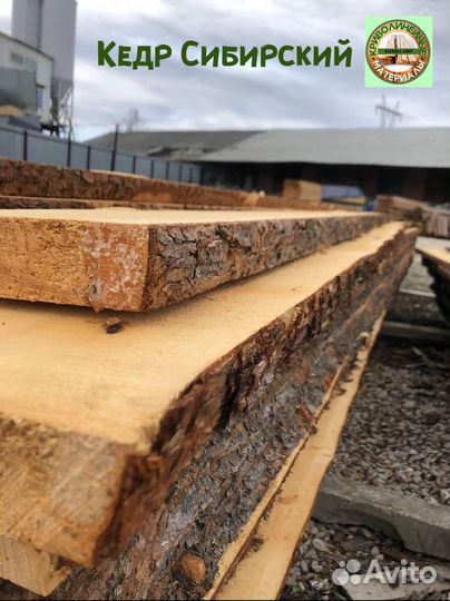 Доска необрезная Кедр Сибирский для бани
