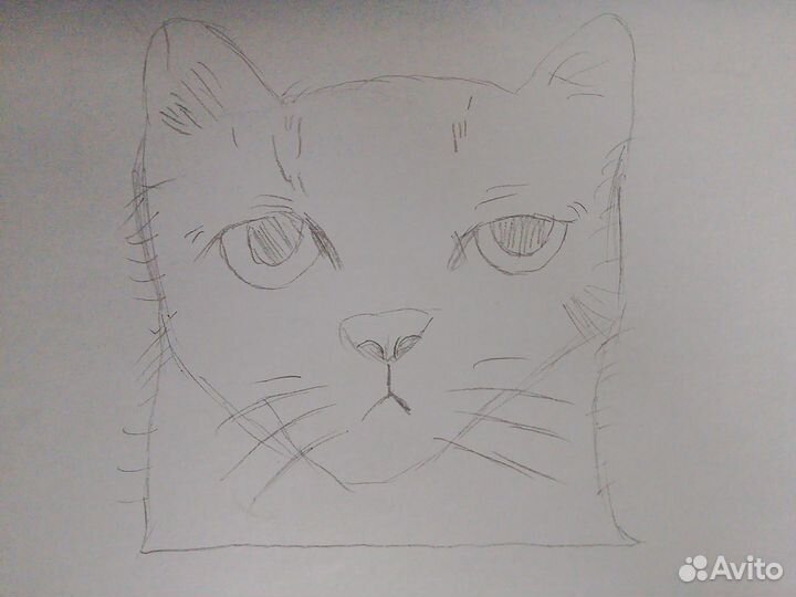 Рисунок карандашом, рисую ваших животных