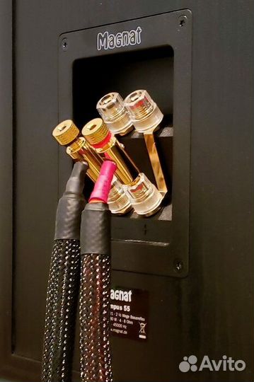 Напольная акустика Magnat Tempus 55 mocca