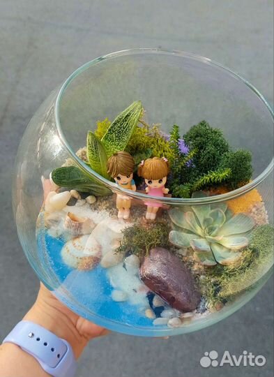 Флорариум с суккулентами