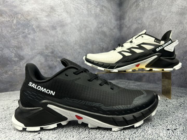 Кроссовки мужские Salomon Gore-Tex