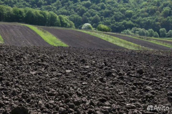 Плодородная земля