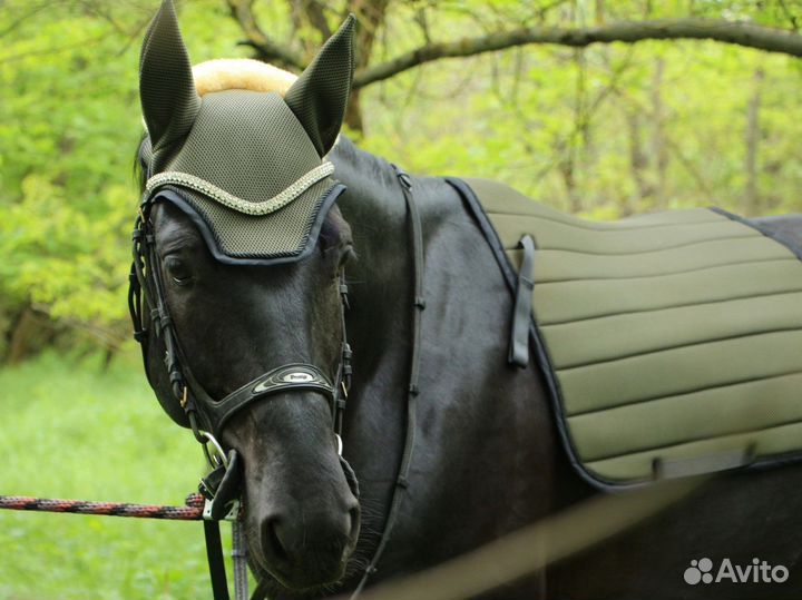 Вальтрап и ушки для лошади