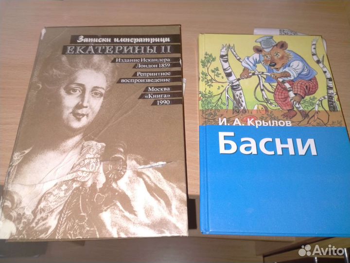 Книги много (Садовая