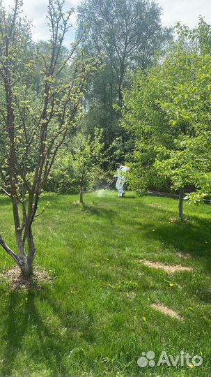 Дезинфекция