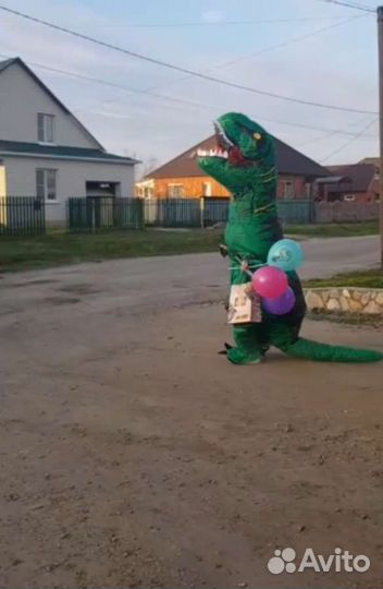 Костюм для поздравлений зелёный T-REX