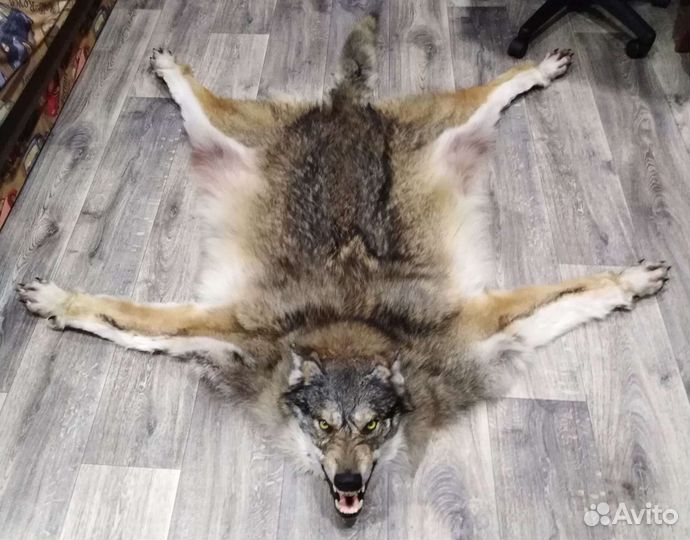 Изготовление чучел. Таксидермия