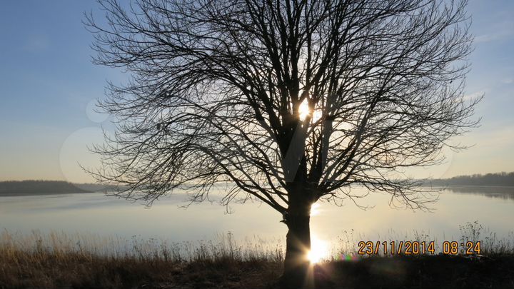 Участок 25 сот. (СНТ, ДНП)